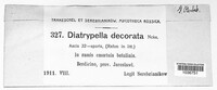 Diatrypella decorata image